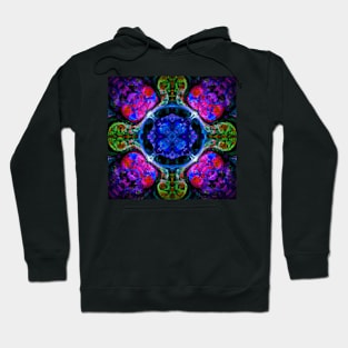 Groovy Fractal No.2 Hoodie